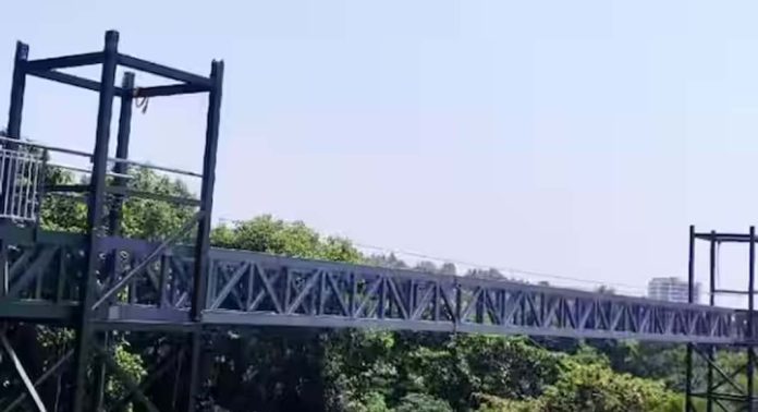സുരക്ഷാ പരിശോധന ; ആക്കുളം ഗ്ലാസ് ബ്രിഡ്ജ് ഉദ്ഘാടനം വീണ്ടും മാറ്റി സുരക്ഷാ പരിശോധന ; ആക്കുളം ഗ്ലാസ് ബ്രിഡ്ജ് ഉദ്ഘാടനം വീണ്ടും മാറ്റി