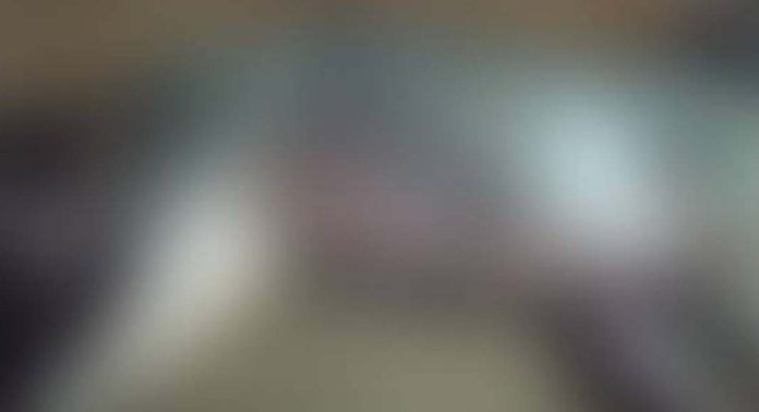 പെരുമ്പാവൂർ എംസി റോഡിൽ മ്ലാവ് വാഹനമിടിച്ച് ചത്ത നിലയിൽ പെരുമ്പാവൂർ എംസി റോഡിൽ മ്ലാവ് വാഹനമിടിച്ച് ചത്ത നിലയിൽ
