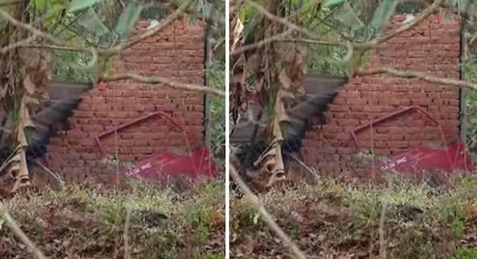 പാലക്കാട് പട്ടാമ്പിയിൽ നേർച്ചക്ക് എത്തിയ ആന ലോറിയിൽ നിന്നും ഇറങ്ങിയോടി പാലക്കാട് പട്ടാമ്പിയിൽ നേർച്ചക്ക് എത്തിയ ആന ലോറിയിൽ നിന്നും ഇറങ്ങിയോടി