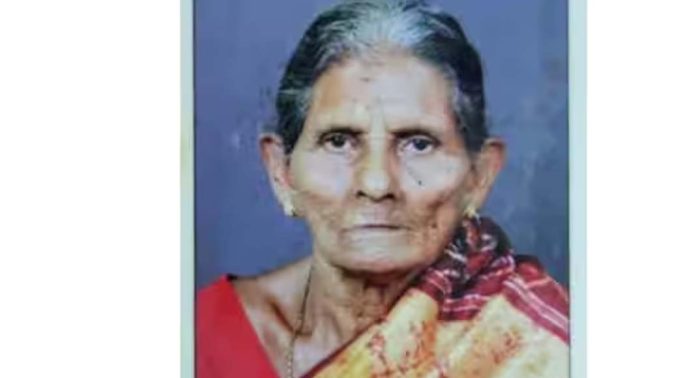 തേനീച്ച കുത്തേറ്റ് വയോധികയ്ക്ക് ദാരുണാന്ത്യം തേനീച്ച കുത്തേറ്റ് വയോധികയ്ക്ക് ദാരുണാന്ത്യം