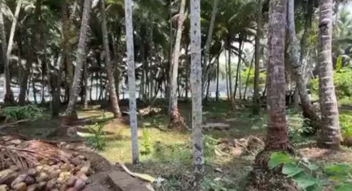 കാസർകോട് പാലായിയിലെ ഊരുവിലക്ക് ആരോപണം ; 9 പേർക്കെതിരെ കേസ് കാസർകോട് പാലായിയിലെ ഊരുവിലക്ക് ആരോപണം ; 9 പേർക്കെതിരെ കേസ്