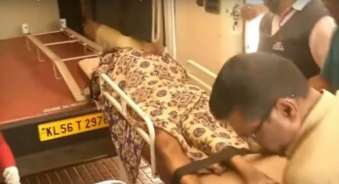 കോഴിക്കോട് വയോധികനെ കാട്ടുപോത്ത് കുത്തിക്കൊന്നു കോഴിക്കോട് വയോധികനെ കാട്ടുപോത്ത് കുത്തിക്കൊന്നു