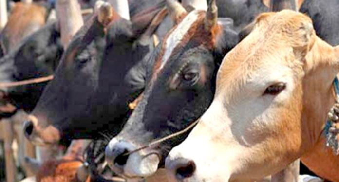 ഇലക്ടറൽ ബോണ്ട് വാങ്ങിയവരിൽ ബീഫ് കയറ്റുമതി കമ്പനിയും ഇലക്ടറൽ ബോണ്ട് വാങ്ങിയവരിൽ ബീഫ് കയറ്റുമതി കമ്പനിയും