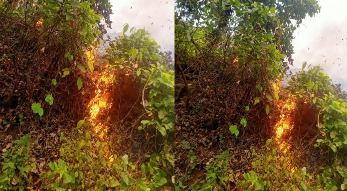നാറാണംമൂഴി ഗ്രാമപഞ്ചായത്തിലെ ആറാട്ടുമണ്ണിൽ തോട്ടത്തിനു തീ പിടിച്ചു നാറാണംമൂഴി ഗ്രാമപഞ്ചായത്തിലെ ആറാട്ടുമണ്ണിൽ തോട്ടത്തിനു തീ പിടിച്ചു