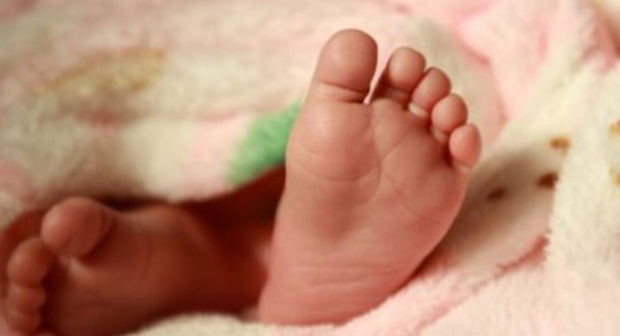 ചില മനുഷ്യർ ഇങ്ങനെ വിസ്മയിപ്പിക്കും ; ചവറ്റുകുട്ടയിൽ നിന്നും കണ്ടെത്തി, പിന്നാലെ കുഞ്ഞിനെ ദത്തെടുത്ത് അമേരിക്കൻ ദമ്പതികൾ ചില മനുഷ്യർ ഇങ്ങനെ വിസ്മയിപ്പിക്കും ; ചവറ്റുകുട്ടയിൽ നിന്നും കണ്ടെത്തി, പിന്നാലെ കുഞ്ഞിനെ ദത്തെടുത്ത് അമേരിക്കൻ ദമ്പതികൾ