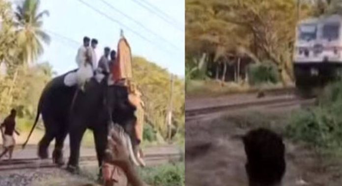 ക്രൂരത ; തിടമ്പേറ്റിയ ആനയെ റെയിൽപാളം കടത്തി , ഉടമയ്ക്കെതിരെ കേസെടുത്തു ക്രൂരത ; തിടമ്പേറ്റിയ ആനയെ റെയിൽപാളം കടത്തി , ഉടമയ്ക്കെതിരെ കേസെടുത്തു