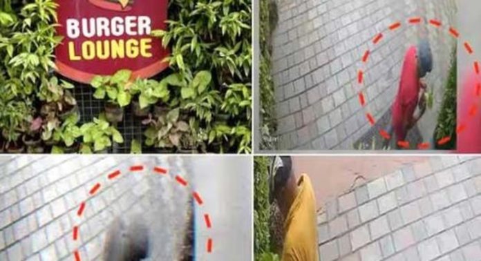 കൊല്ലത്ത് ചെടി മോഷണം പതിവാക്കി ; പിന്നാലെ സ്ഥാപന ഉടമ ചെയ്തത്…! കൊല്ലത്ത് ചെടി മോഷണം പതിവാക്കി ; പിന്നാലെ സ്ഥാപന ഉടമ ചെയ്തത്…!
