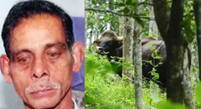 കാട്ടുപോത്ത് ആക്രമണത്തിൽ കൊല്ലപ്പെട്ട എബ്രഹാമിന്റെ പോസ്റ്റ്മോര്ട്ടം ഇന്ന് കാട്ടുപോത്ത് ആക്രമണത്തിൽ കൊല്ലപ്പെട്ട എബ്രഹാമിന്റെ പോസ്റ്റ്മോര്ട്ടം ഇന്ന്