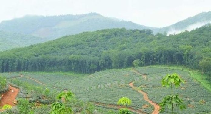 ശബരിമല വിമാനത്താവളം ; ഭൂമിയേറ്റെടുക്കൽ വിജ്ഞാപനം സർക്കാർ പുറത്തിറക്കി ശബരിമല വിമാനത്താവളം ; ഭൂമിയേറ്റെടുക്കൽ വിജ്ഞാപനം സർക്കാർ പുറത്തിറക്കി