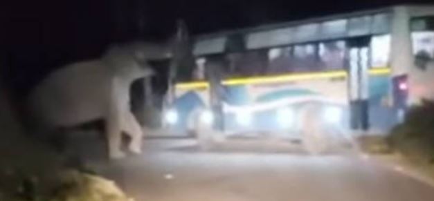 മൂന്നാറിൽ വീണ്ടും പടയപ്പയുടെ ആക്രമണം ; ബസിന്റെ ചില്ല് തകർത്തു മൂന്നാറിൽ വീണ്ടും പടയപ്പയുടെ ആക്രമണം ; ബസിന്റെ ചില്ല് തകർത്തു