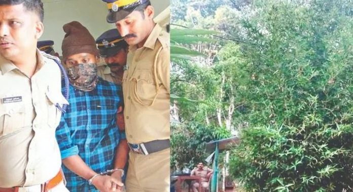 ഇടുക്കി ഇരട്ടക്കൊലപാതകം ; ചുരുളഴിയുന്നത് നരബലിയിലേക്കോ ?, വൻ ദുരൂഹത…! ഇടുക്കി ഇരട്ടക്കൊലപാതകം ; ചുരുളഴിയുന്നത് നരബലിയിലേക്കോ ?, വൻ ദുരൂഹത…!