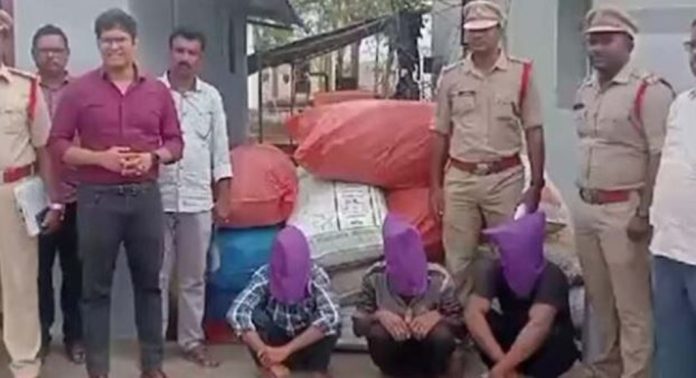 കുതിരകളെ ഉപയോഗിച്ച് കഞ്ചാവ് കടത്താൻ ശ്രമം ; മൂന്ന് പേർ പിടിയിൽ കുതിരകളെ ഉപയോഗിച്ച് കഞ്ചാവ് കടത്താൻ ശ്രമം ; മൂന്ന് പേർ പിടിയിൽ