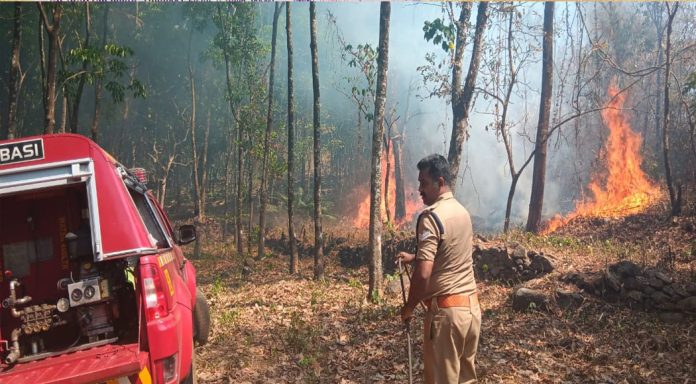 റാന്നി പുതുശ്ശേരിമലയിൽ റബർ പുരയിടത്തിന് തീപിടിച്ചു റാന്നി പുതുശ്ശേരിമലയിൽ റബർ പുരയിടത്തിന് തീപിടിച്ചു
