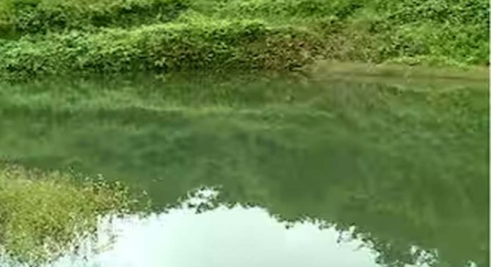 കാട്ടരുവിയുടെ ഒഴുക്കു തടസ്സപ്പെടുത്തിയെന്ന പരാതി ; രണ്ടു മാസത്തിനകം തീരുമാനമെടുക്കാന് ഉത്തരവിട്ട് ഹൈക്കോടതി കാട്ടരുവിയുടെ ഒഴുക്കു തടസ്സപ്പെടുത്തിയെന്ന പരാതി ; രണ്ടു മാസത്തിനകം തീരുമാനമെടുക്കാന് ഉത്തരവിട്ട് ഹൈക്കോടതി
