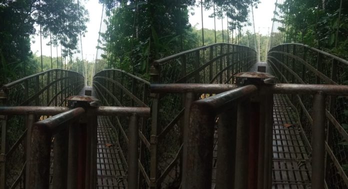 തേലപ്പുഴക്കടവ് തൂക്കുപാലം തുരുമ്പെടുത്ത് നശിക്കുന്നു തേലപ്പുഴക്കടവ് തൂക്കുപാലം തുരുമ്പെടുത്ത് നശിക്കുന്നു