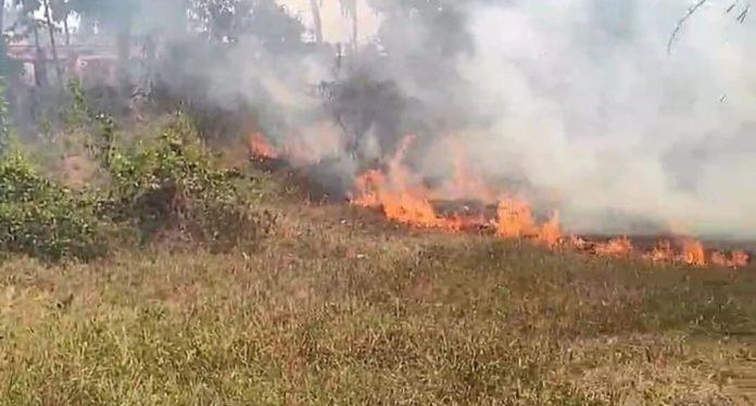കോടിയാട്ടുകര ശ്രീകൃഷ്ണസ്വാമി ക്ഷേത്രത്തിൻ്റെ പിൻഭാഗത്തെ പാടശേഖരത്തിന് തീപിടിച്ചു കോടിയാട്ടുകര ശ്രീകൃഷ്ണസ്വാമി ക്ഷേത്രത്തിൻ്റെ പിൻഭാഗത്തെ പാടശേഖരത്തിന് തീപിടിച്ചു