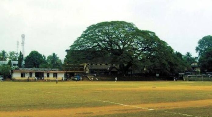 മൈതാനങ്ങള് ഉപയോഗിക്കുന്നത് ഒരു രാഷ്ട്രീയ പാര്ട്ടിയുടെ കുത്തകയാക്കി മാറ്റാന് പാടില്ല മൈതാനങ്ങള് ഉപയോഗിക്കുന്നത് ഒരു രാഷ്ട്രീയ പാര്ട്ടിയുടെ കുത്തകയാക്കി മാറ്റാന് പാടില്ല