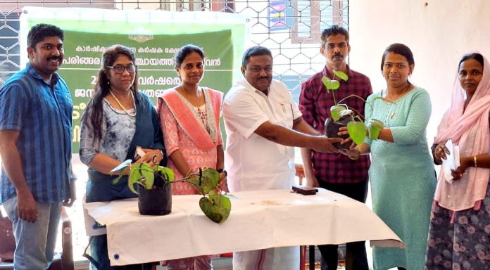 പെരിങ്ങര ഗ്രാമപഞ്ചായത്തില് നടീല് വസ്തുക്കളുടെ വിതരണം നിര്വഹിച്ചു പെരിങ്ങര ഗ്രാമപഞ്ചായത്തില് നടീല് വസ്തുക്കളുടെ വിതരണം നിര്വഹിച്ചു