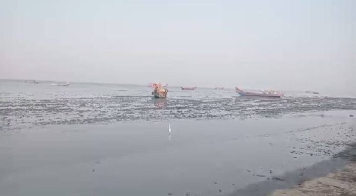 ആലപ്പുഴ പുറക്കാട് കടൽ ഉൾവലിഞ്ഞു ആലപ്പുഴ പുറക്കാട് കടൽ ഉൾവലിഞ്ഞു