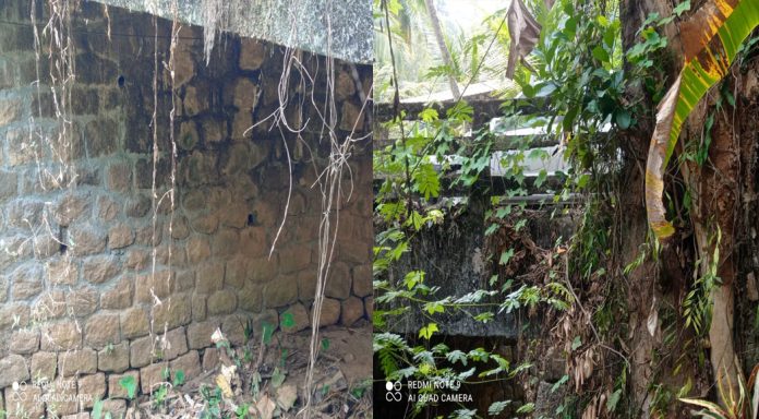 ഉന്നത നിലവാരത്തിൽ നിർമാണം പൂർത്തിയാക്കിയ റോഡിലെ പാലം അപകട ഭീഷണിയിൽ ഉന്നത നിലവാരത്തിൽ നിർമാണം പൂർത്തിയാക്കിയ റോഡിലെ പാലം അപകട ഭീഷണിയിൽ