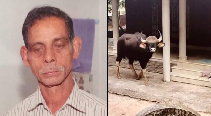 കാട്ടുപോത്ത് ആക്രമണം ; മരിച്ച കര്ഷകന്റെ കുടുംബത്തിന് 10 ലക്ഷം രൂപ നഷ്ടപരിഹാരം കാട്ടുപോത്ത് ആക്രമണം ; മരിച്ച കര്ഷകന്റെ കുടുംബത്തിന് 10 ലക്ഷം രൂപ നഷ്ടപരിഹാരം