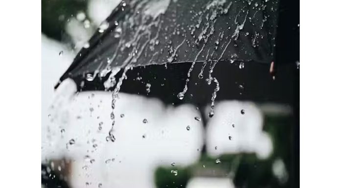 കനത്ത മഴ വരുന്നു, മുന്നറിയിപ്പിൽ മാറ്റം ; നാളെ 4 ജില്ലകളിൽ ഓറഞ്ച് അലർട്ട്, കടലാക്രമണം ശക്തമാകാനും സാധ്യത കനത്ത മഴ വരുന്നു, മുന്നറിയിപ്പിൽ മാറ്റം ; നാളെ 4 ജില്ലകളിൽ ഓറഞ്ച് അലർട്ട്, കടലാക്രമണം ശക്തമാകാനും സാധ്യത