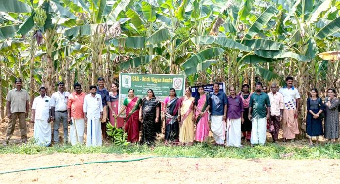 അരുവിക്കര ഗ്രാമ പഞ്ചായത്തിൽ വിളവെടുപ്പ് ഉത്സവം നടത്തി അരുവിക്കര ഗ്രാമ പഞ്ചായത്തിൽ വിളവെടുപ്പ് ഉത്സവം നടത്തി