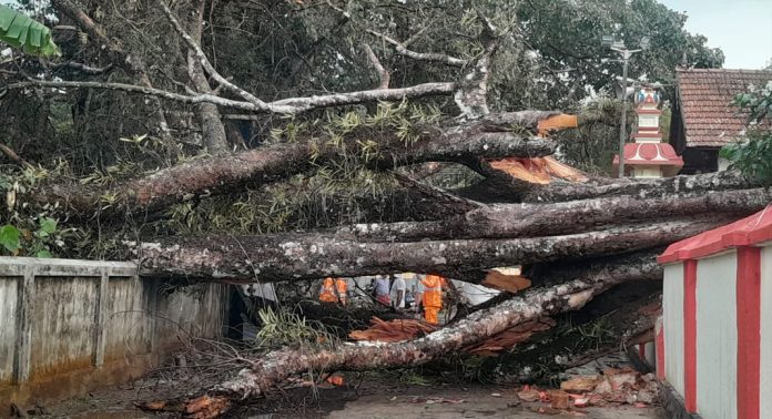 കനത്ത മഴയിൽ കോന്നിയിൽ നാശനഷ്ടം കനത്ത മഴയിൽ കോന്നിയിൽ നാശനഷ്ടം