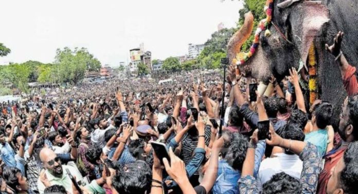 തൃശൂർ പൂരത്തിന് ആനയും ആൾക്കൂട്ടവും തമ്മിലുള്ള ദൂരം 6 മീറ്ററായിരിക്കണം ; ഇതിനിടയിൽ തീവെട്ടി, ചെണ്ടമേളം ഉൾപ്പെടെ ഒന്നും പാടില്ല : ഹൈക്കോടതി തൃശൂർ പൂരത്തിന് ആനയും ആൾക്കൂട്ടവും തമ്മിലുള്ള ദൂരം 6 മീറ്ററായിരിക്കണം ; ഇതിനിടയിൽ തീവെട്ടി, ചെണ്ടമേളം ഉൾപ്പെടെ ഒന്നും പാടില്ല : ഹൈക്കോടതി