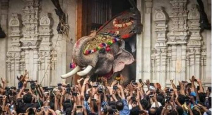 ഒടുവിൽ കാത്തിരിപ്പുകൾക്ക് വിരാമം ; തൃശൂർ പൂരവിളംബരം ഇന്ന് ഒടുവിൽ കാത്തിരിപ്പുകൾക്ക് വിരാമം ; തൃശൂർ പൂരവിളംബരം ഇന്ന്