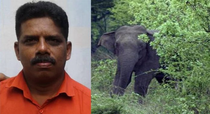 കാട്ടാനയാക്രമണത്തിൽ കൊല്ലപ്പെട്ട ബിജുവിന്റെ സംസ്കാരം ഇന്ന് നടക്കും കാട്ടാനയാക്രമണത്തിൽ കൊല്ലപ്പെട്ട ബിജുവിന്റെ സംസ്കാരം ഇന്ന് നടക്കും