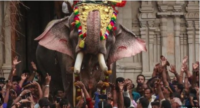 തൃശ്ശൂർപ്പൂരത്തിന് തെച്ചിക്കോട്ടുകാവ് രാമചന്ദ്രന് എത്തുമോ? ; ആനകളുടെ ഫിറ്റ്നസ് സർട്ടിഫിക്കറ്റ് ഹൈക്കോടതിയിൽ സമർപ്പിക്കണം, കർശന നിർദ്ദേശങ്ങളുമായി അധികൃതർ, ആശങ്കയിൽ പൂരപ്രേമികൾ…! തൃശ്ശൂർപ്പൂരത്തിന് തെച്ചിക്കോട്ടുകാവ് രാമചന്ദ്രന് എത്തുമോ? ; ആനകളുടെ ഫിറ്റ്നസ് സർട്ടിഫിക്കറ്റ് ഹൈക്കോടതിയിൽ സമർപ്പിക്കണം, കർശന നിർദ്ദേശങ്ങളുമായി അധികൃതർ, ആശങ്കയിൽ പൂരപ്രേമികൾ…!