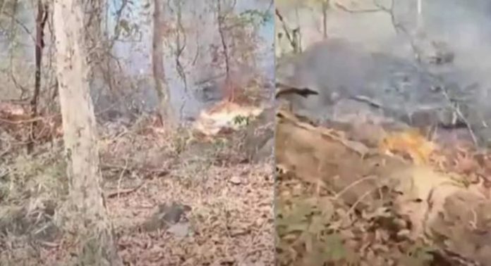 നിലമ്പൂർ പന്തീരായിരം വനമേഖലയിൽ കാട്ടുതീ ; ആശങ്കയിൽ നാട്ടുകാർ…! നിലമ്പൂർ പന്തീരായിരം വനമേഖലയിൽ കാട്ടുതീ ; ആശങ്കയിൽ നാട്ടുകാർ…!