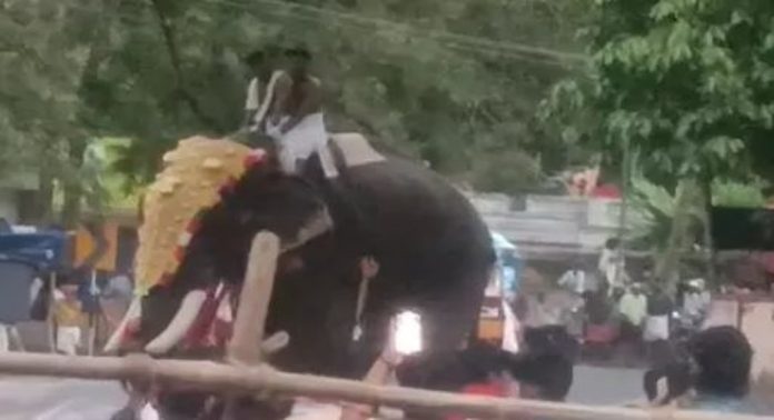 കുഴൽമന്ദം വിഷുവേലക്കിടെ ആനയിടഞ്ഞു ; രണ്ടുപേർ അത്ഭുതകരമായി രക്ഷപ്പെട്ടു കുഴൽമന്ദം വിഷുവേലക്കിടെ ആനയിടഞ്ഞു ; രണ്ടുപേർ അത്ഭുതകരമായി രക്ഷപ്പെട്ടു