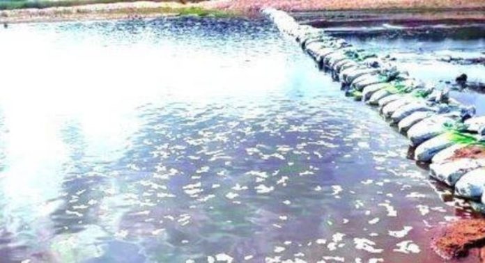 കനത്ത വേനൽ ; ഭാരതപ്പുഴയുടെ തീരത്ത് ജലക്ഷാമം അതിരൂക്ഷം, നാട്ടുകാർ പ്രതിസന്ധിയിൽ..! കനത്ത വേനൽ ; ഭാരതപ്പുഴയുടെ തീരത്ത് ജലക്ഷാമം അതിരൂക്ഷം, നാട്ടുകാർ പ്രതിസന്ധിയിൽ..!
