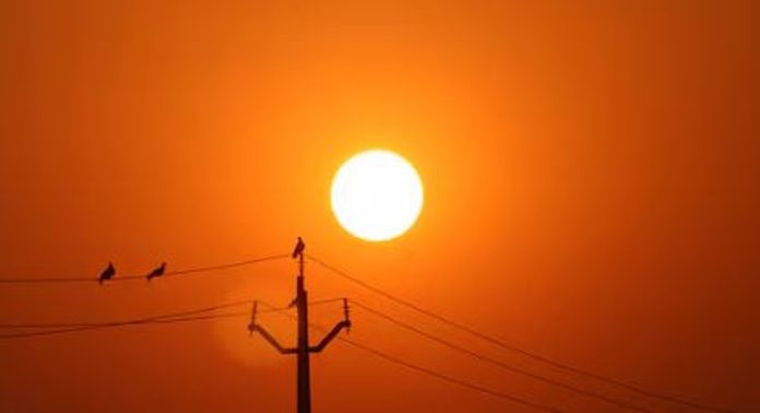 വെന്തുരുകി കേരളം ; പാലക്കാട് ഉഷ്ണതരംഗം സ്ഥിരീകരിച്ചു, ജാഗ്രത മുന്നറിപ്പ് നൽകി അധികൃതർ വെന്തുരുകി കേരളം ; പാലക്കാട് ഉഷ്ണതരംഗം സ്ഥിരീകരിച്ചു, ജാഗ്രത മുന്നറിപ്പ് നൽകി അധികൃതർ