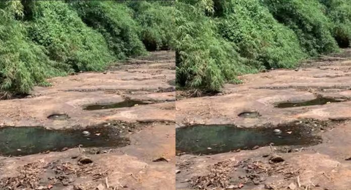കോഴിക്കോട് ജില്ലയിലെ മലയോര മേഖലയില് കടുത്ത കുടിവെള്ള ക്ഷാമം കോഴിക്കോട് ജില്ലയിലെ മലയോര മേഖലയില് കടുത്ത കുടിവെള്ള ക്ഷാമം