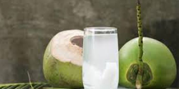 വേനല്ച്ചൂട് ക്രമാതീതമായി വര്ധിച്ചതോടെ ദാഹംശമിപ്പിക്കാന് ഇളനീര് വില്പ്പന കേന്ദ്രങ്ങള് ജില്ലയില് സജീവമായി വേനല്ച്ചൂട് ക്രമാതീതമായി വര്ധിച്ചതോടെ ദാഹംശമിപ്പിക്കാന് ഇളനീര് വില്പ്പന കേന്ദ്രങ്ങള് ജില്ലയില് സജീവമായി