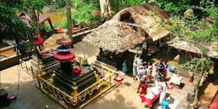 കല്ലേലി ഊരാളി അപ്പൂപ്പൻ കാവിൽ പത്താമുദയ മഹോത്സവത്തിന് 14ന് തുടക്കം കുറിയ്ക്കും കല്ലേലി ഊരാളി അപ്പൂപ്പൻ കാവിൽ പത്താമുദയ മഹോത്സവത്തിന് 14ന് തുടക്കം കുറിയ്ക്കും