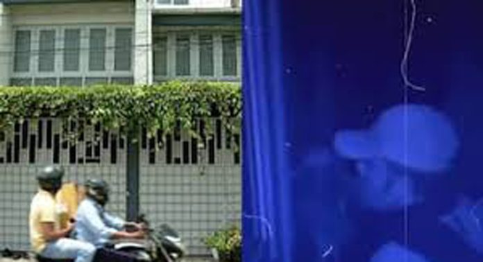 സംവിധായകൻ ജോഷിയുടെ വീട്ടില് വൻ കവര്ച്ച നടത്തിയ കേസില് പിടിയിലായ പ്രതി മുമ്പും കേരളത്തില് വലിയ കവര്ച്ച നടത്തിയിട്ടുണ്ടെന്ന് പോലീസ് സംവിധായകൻ ജോഷിയുടെ വീട്ടില് വൻ കവര്ച്ച നടത്തിയ കേസില് പിടിയിലായ പ്രതി മുമ്പും കേരളത്തില് വലിയ കവര്ച്ച നടത്തിയിട്ടുണ്ടെന്ന് പോലീസ്