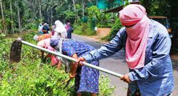 ഗ്രാമീണ തൊഴിലുറപ്പ് പദ്ധതിയിൽ കോന്നി ബ്ലോക്കിൽ ഒന്നാംസ്ഥാനം കോന്നി പഞ്ചായത്തിന് ഗ്രാമീണ തൊഴിലുറപ്പ് പദ്ധതിയിൽ കോന്നി ബ്ലോക്കിൽ ഒന്നാംസ്ഥാനം കോന്നി പഞ്ചായത്തിന്