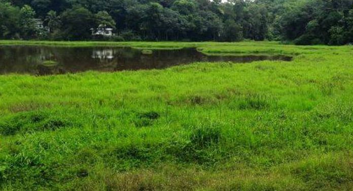 കുളനട പോളച്ചിറ വിനോദ സഞ്ചാര പദ്ധതി അനിശ്ചിതത്വത്തിൽ കുളനട പോളച്ചിറ വിനോദ സഞ്ചാര പദ്ധതി അനിശ്ചിതത്വത്തിൽ