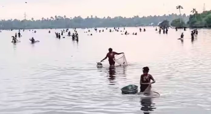 മത്സ്യപാടങ്ങളാൽ സമൃദ്ധമായ എഴുപുന്ന-നീണ്ടകര മേഖലയിൽ മത്സ്യബന്ധനവും വിൽപനയും സജീവമാകും മത്സ്യപാടങ്ങളാൽ സമൃദ്ധമായ എഴുപുന്ന-നീണ്ടകര മേഖലയിൽ മത്സ്യബന്ധനവും വിൽപനയും സജീവമാകും