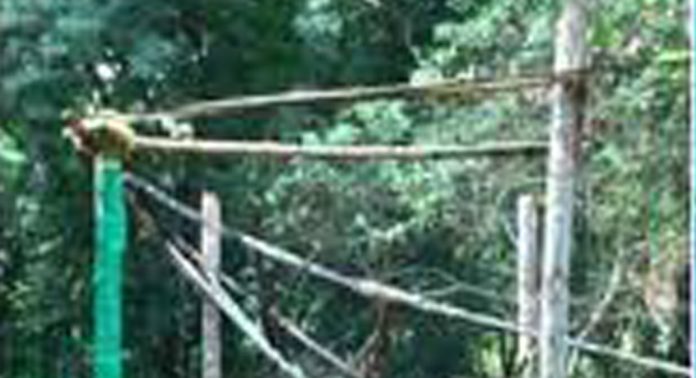 ബിജെപിയുടെ താല്ക്കാലിക തിരഞ്ഞെടുപ്പ് ഓഫീസ് തീയിട്ട് നശിപ്പിച്ച നിലയില് ബിജെപിയുടെ താല്ക്കാലിക തിരഞ്ഞെടുപ്പ് ഓഫീസ് തീയിട്ട് നശിപ്പിച്ച നിലയില്