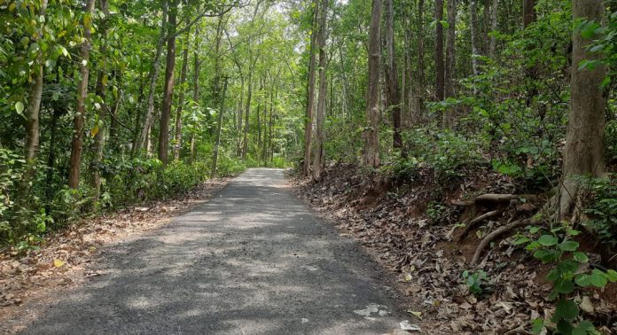 കക്കുടുമൺ വാഴക്കാലമുക്ക് റോഡ് തകർച്ചയുടെ വക്കിൽ കക്കുടുമൺ വാഴക്കാലമുക്ക് റോഡ് തകർച്ചയുടെ വക്കിൽ