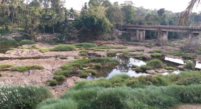 വേനൽ മഴ ആശ്വാസമായെങ്കിലും പമ്പാനദി വരണ്ടുണങ്ങിതന്നെ വേനൽ മഴ ആശ്വാസമായെങ്കിലും പമ്പാനദി വരണ്ടുണങ്ങിതന്നെ