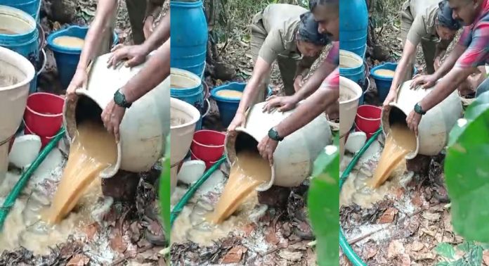 പടയനിപ്പാറയിൽ നടത്തിയ റെയ്ഡിൽ 650 ലിറ്റർ കോട പിടികൂടി പടയനിപ്പാറയിൽ നടത്തിയ റെയ്ഡിൽ 650 ലിറ്റർ കോട പിടികൂടി