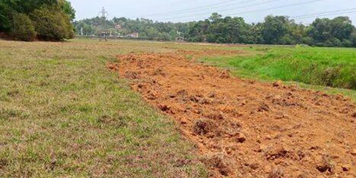 കുളനട പഞ്ചായത്തിലെ കുപ്പണ്ണൂർ പാടശേഖരങ്ങൾ നികത്താനുള്ള നീക്കം അധികൃതർ തടഞ്ഞു കുളനട പഞ്ചായത്തിലെ കുപ്പണ്ണൂർ പാടശേഖരങ്ങൾ നികത്താനുള്ള നീക്കം അധികൃതർ തടഞ്ഞു