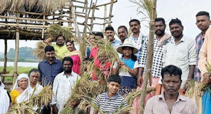കരിങ്ങാലിപ്പാടശേഖരത്തില് കൊയ്ത്തുത്സവം നടന്നു കരിങ്ങാലിപ്പാടശേഖരത്തില് കൊയ്ത്തുത്സവം നടന്നു