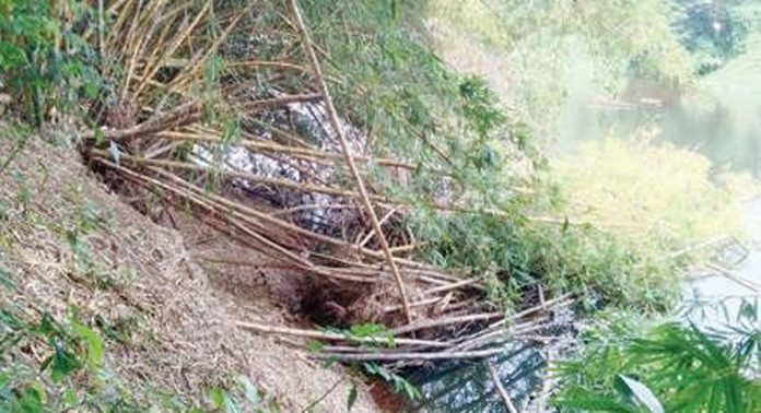 പന്തളം വലിയപാലത്തിന് താഴ്ഭാഗം തീരമിടിയൽ ഭീഷണിയിൽ പന്തളം വലിയപാലത്തിന് താഴ്ഭാഗം തീരമിടിയൽ ഭീഷണിയിൽ